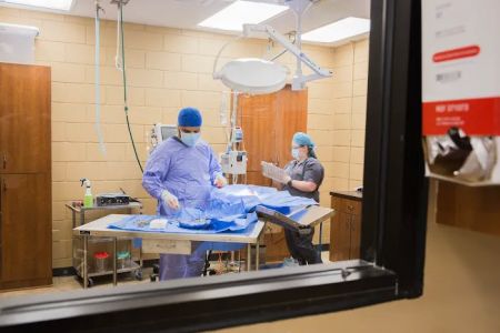 Animal Emergency Clinic NE