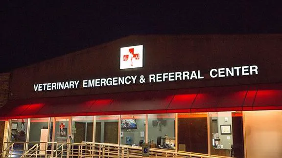 Animal Emergency Clinic NE 4