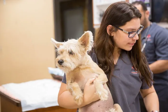 Animal Emergency Clinic NE 3