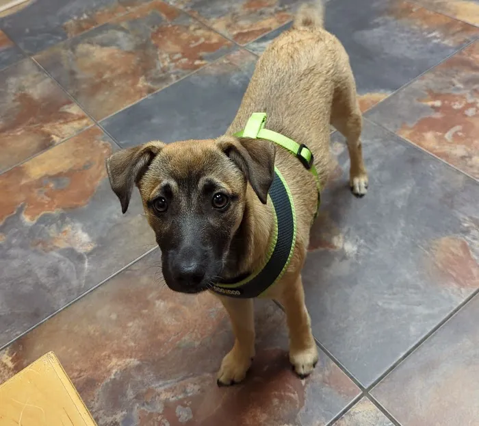 LoneStar Veterinary Hospital 12