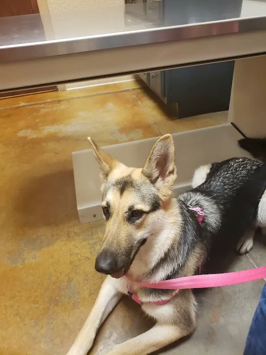 Lake Parkway Animal Hospital 12