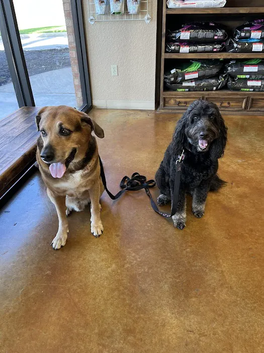 Lake Parkway Animal Hospital 12