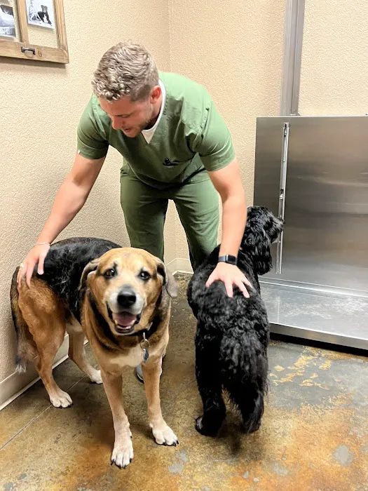 Lake Parkway Animal Hospital 12