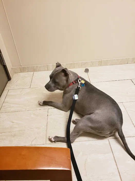 VCA Kingwood Animal Hospital 2