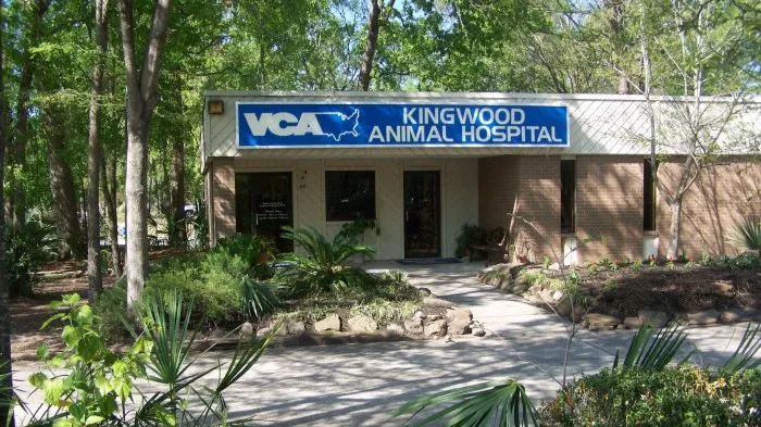 VCA Kingwood Animal Hospital 1