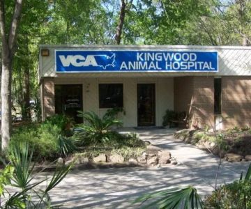 VCA Kingwood Animal Hospital