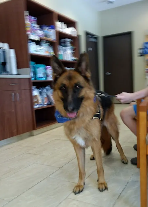 VCA Kingwood Animal Hospital 8