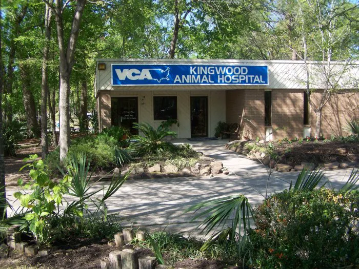 VCA Kingwood Animal Hospital 9