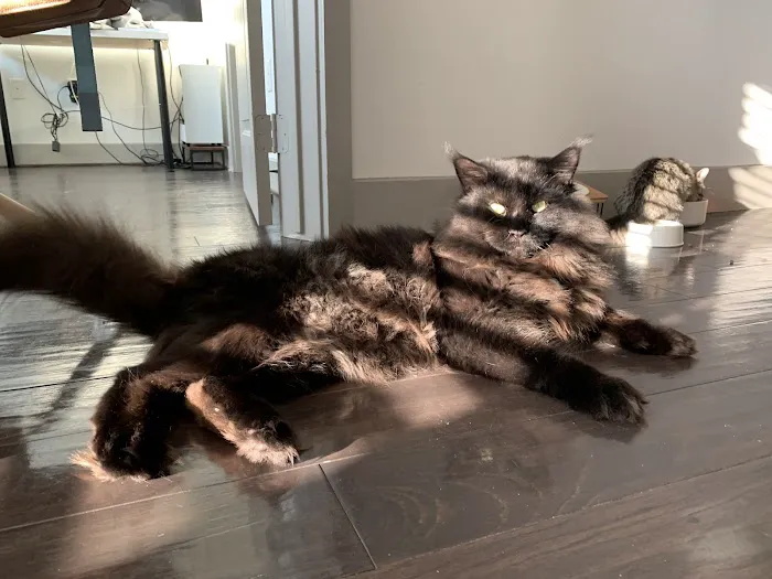 Fur & Feather veterinary hospital 12