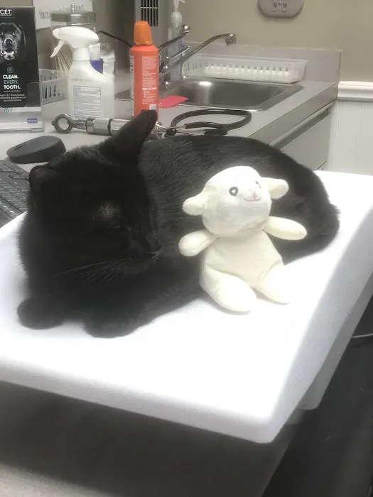 Montrose Veterinary Clinic 7