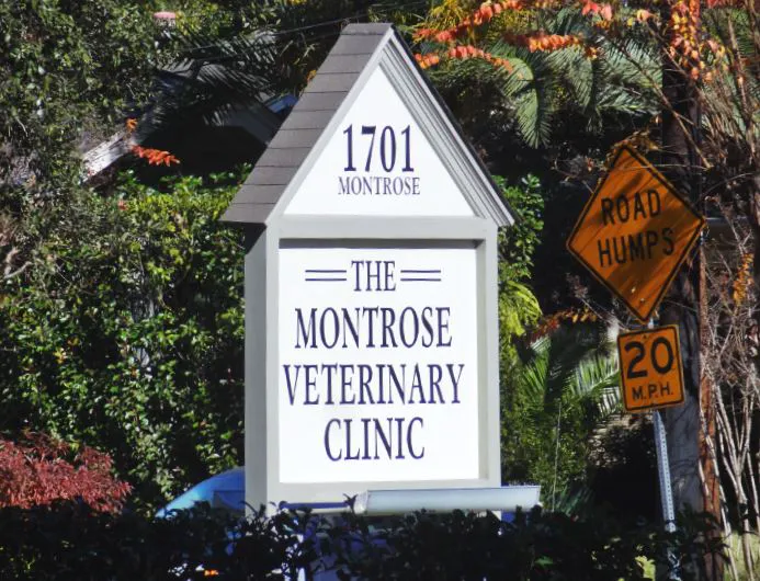 Montrose Veterinary Clinic 1