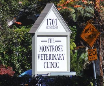 Montrose Veterinary Clinic