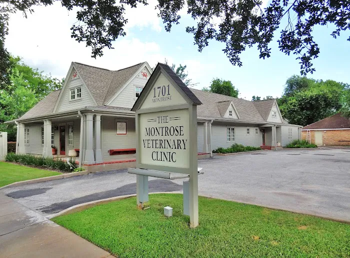 Montrose Veterinary Clinic 2
