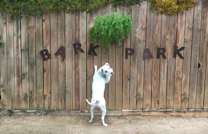 Neartown Animal Clinic 12