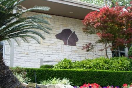 Neartown Animal Clinic