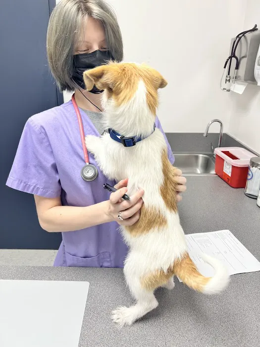 Neartown Animal Clinic 12