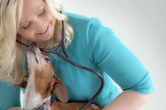 Bayou City Mobile Veterinary Specialists 5