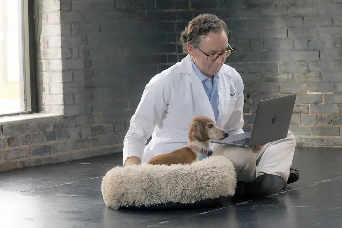 Bayou City Mobile Veterinary Specialists 3
