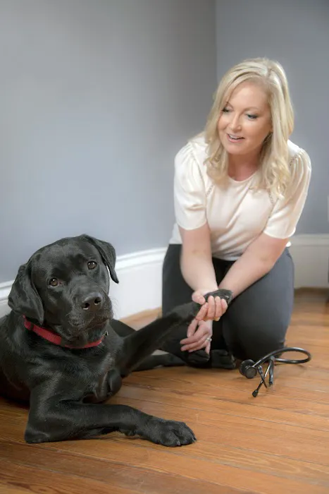 Bayou City Mobile Veterinary Specialists 1