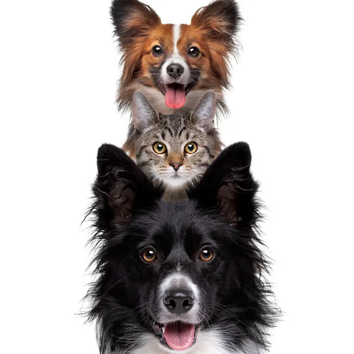 Heaven 4ur Pet Texas 12