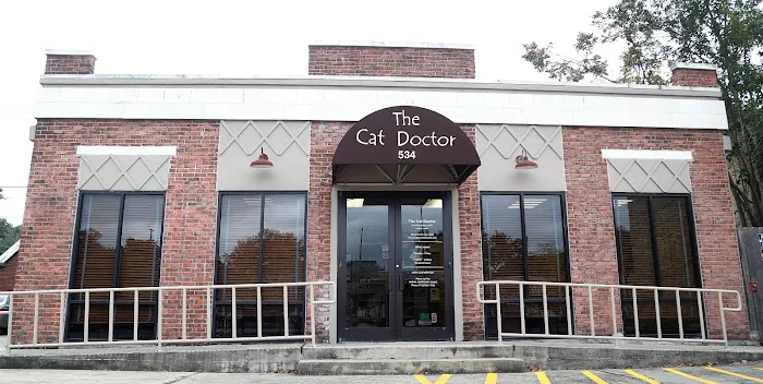 The Cat Doctor 1