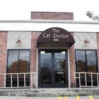 The Cat Doctor ico