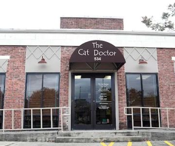 The Cat Doctor