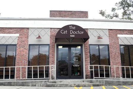 The Cat Doctor