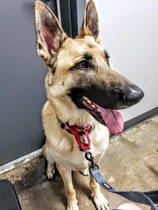 EaDo Veterinary Clinic 9