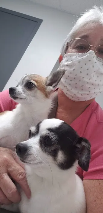 EaDo Veterinary Clinic 5