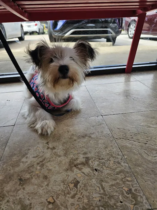 Petcare Express 2