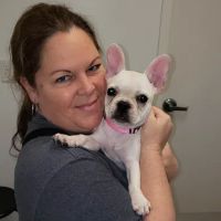Petcare Express ico