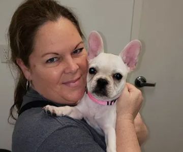 Petcare Express