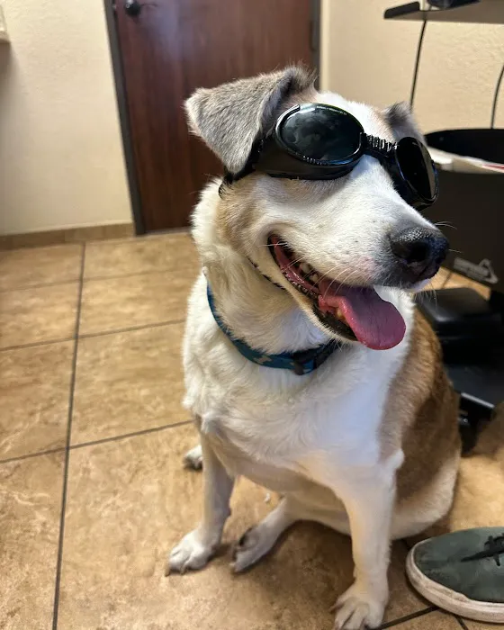 Bingle Veterinary Clinic 7