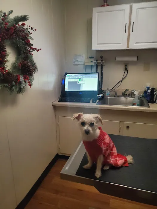 Richey Animal Clinic 12