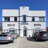 Veterinary Urgent Care ico