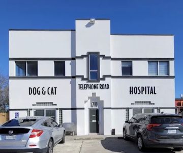 Veterinary Urgent Care