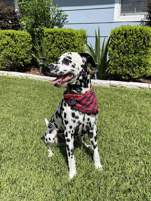 Gulfgate Animal Hospital. 12