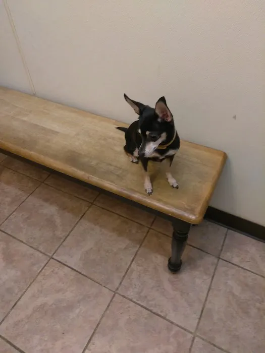 Gulfgate Animal Hospital. 12