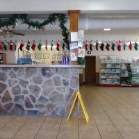 Gulfgate Animal Hospital. ico