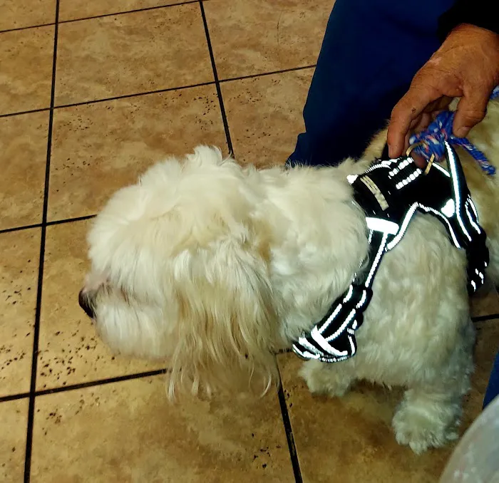 Gulfgate Animal Hospital. 12