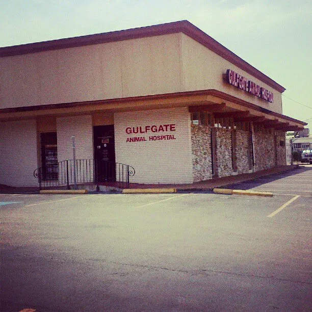 Gulfgate Animal Hospital. 12