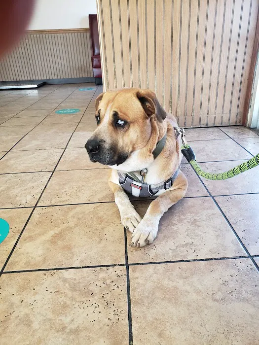 Gulfgate Animal Hospital. 12