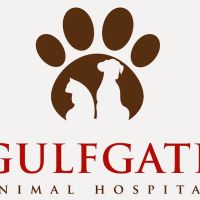 Gulfgate Animal Hospital: Dr. Kathy Palmer ico