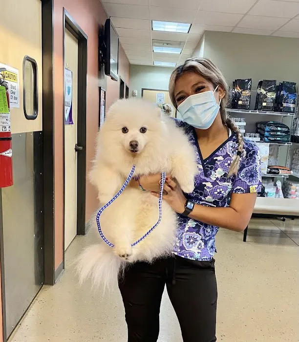 Long Drive Dog & Cat Hospital 9