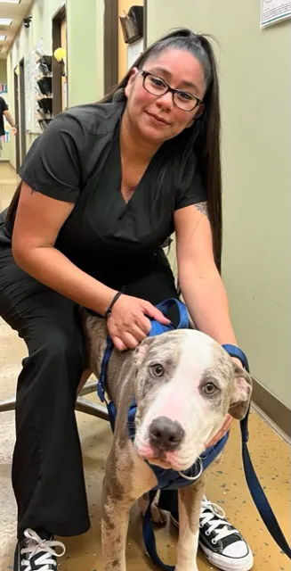 Long Drive Dog & Cat Hospital 4