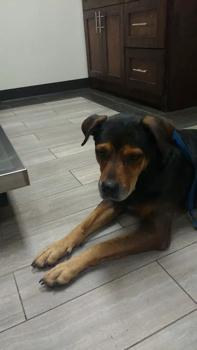 Highlands Animal Clinic 12