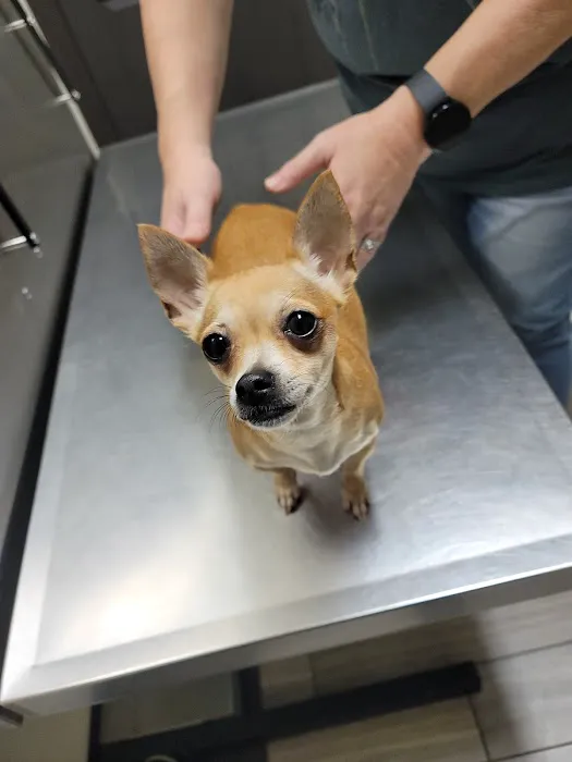 Highlands Animal Clinic 12