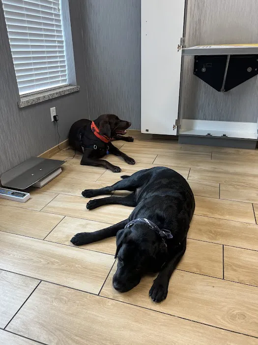Red Bluff Animal Hospital 12