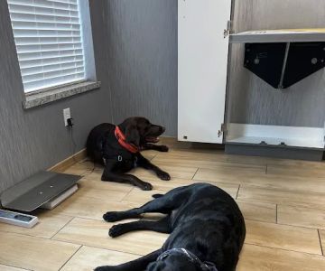 Red Bluff Animal Hospital